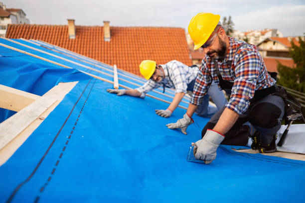 Best Metal Roofing Contractor  in Owensville, IN